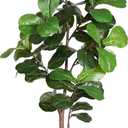 LUWENER 6ft Artificial Fiddle Leaf Fig Tree Plant, Fake Ficus Lyrata in Pot,Ficus Faux Plant Artificial Trees for Office Indoor Outdoor Garden Living Room Home Decor 1PCS-71in (Green)