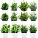 Kifmurase 12Pcs Fake Plants, Mini Artificial Greenery Potted Plants for Shelf, Small Artificial Faux Eucalyptus for Home Decor, Indoor, Office, Desk, Shelf, Table Decoration