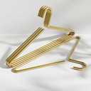 Gold Aluminum Coat Hangers, Gold Metal Suit Hangers, Aluminum Alloy Clothes Hangers Multi Purpose Lightweight Clothes Hanger for 10 pcs