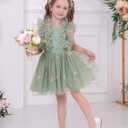 Flower Girls Sequin Butterfly Polka Dots Tutu Dress Kids Mesh Embroidery Tulle Wedding Princess Birthday Party Dresses (Green)