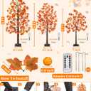8 Modes & Remote 3 Pack Lighted Fall Tree (4FT, 5FT, 6FT) with 240 LED