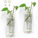 Amazon.com: Bunhut Wall Planters for Indoor Plants,Wall Hanging Terrarium Planters,Glass Wall Planters for Floral Arrangement,Hanging Plant Holder, Wall Vase,Wall Mounted Planters (2 Glass Wall Planter) : Patio, Lawn & Garden