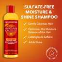2pcs Creme of Nature Sulfate-Free Moisture & Shine Shampoo, Gently Cleanses, Hydrates & Detangles, Infused with 100% Pure Argan Oil from Morocco, 12 fl oz