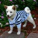 Pet Dog Striped T-Shirt Dogs Cats Cotton Vest Spring Summer Pet Apparel Tee Shirt Suitable for Small and Medium Large Pets French Bulldog Bichon