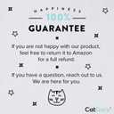 CatGuru Cat Bowls, Whisker Friendly Food Bowl for Indoor Cats, Reliefs Whisker Fatigue, Wide Kitten Dish, Non Slip Pet Dishes, Shallow Pet Plates (Stainless Steel, (Pack of 2)) (Dish - Set of Two)