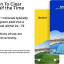 PoolRx Pool Unit #101066 6 Month Algaecide Treats 20k-30k gallons, Black