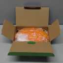 Birdream Window Hummingbird Feeders, Cake Design Hummingbird Feeder for Window with 9 Feeding Ports & Brush 9oz, Attracting Ruby Throated Anna Rufous - Orange (1 Pack)