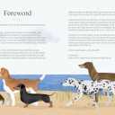 Sit, Stay, Grow: How Dogs Can Help You Worry Less and Walk Into a Better Future