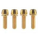 Titanium M6x16 18 20 25mm Hex Tapered Head for Bicycle Crank Brake Fixed Upgrade Screw Pack of 4 (Gold, M6x18mm)