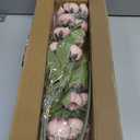 VIERENA 6 Pcs Faux Silk Peony Artificial Flowers for Vase -27", Bulk Fake Peonies Branches with Stems for DIY Bouquet Centerpieces Wedding Fillers Arrangements Shower Decorations (Blush Pink)