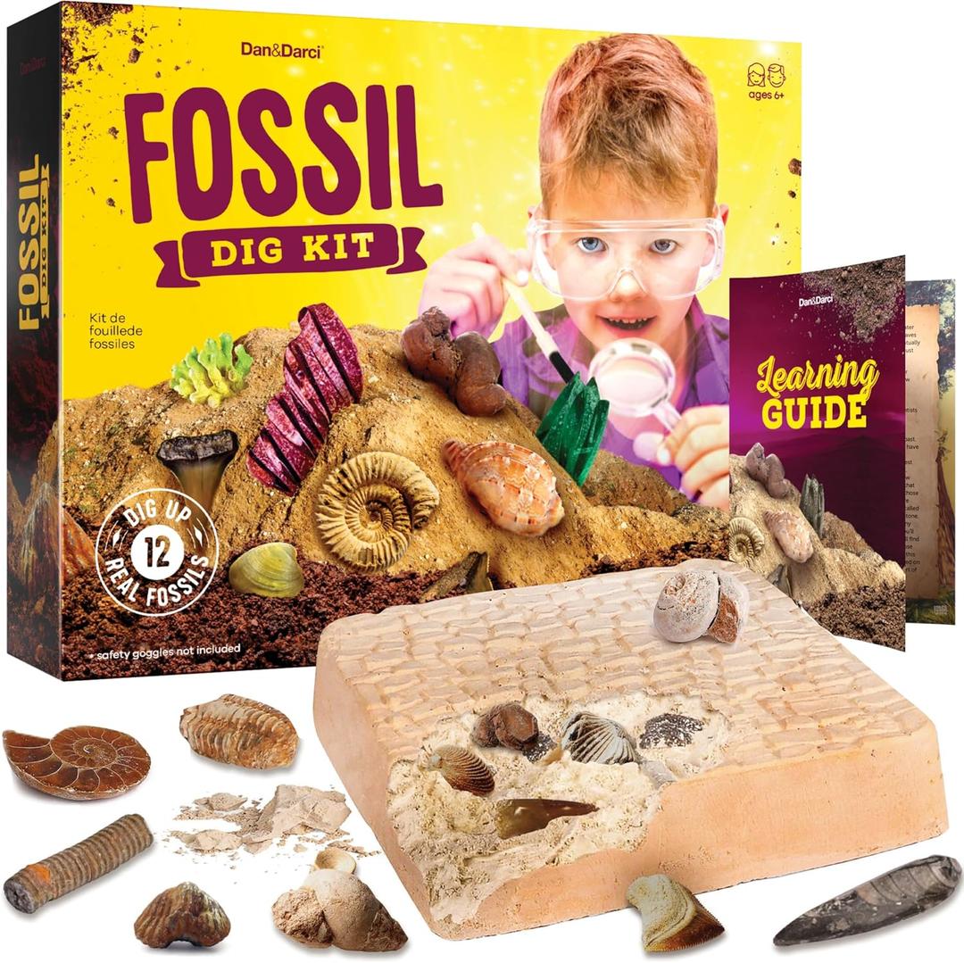 Dan&Darci Real Fossil Dig Kit for Kids - Science Kits for Boys & Girls Age 8-12 - Birthday Gift Ideas for 8, 9, 10, 11, 12 Year Old Boy or Girl - Fossils Digging STEM Toys for Ages 8-13