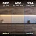 Armacost Lighting RibbonFlex Pro 12V White LED Strip Lights 60 LED/m, 2700K, 12 ft 132220