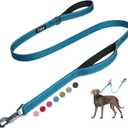 Fida 5 FT Heavy Duty Dog Leash with 2 Comfortable Padded Handles, Traffic Handle & Advanced Easy Snap Hook, Reflective Walking Lead for Dogs, Blue (5 Feet (Pack of 1))