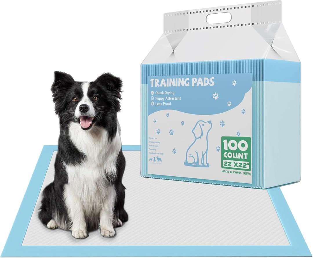 DUMOS 100 Count Puppy Pads for Dogs, 22" x 22" Potty Puppy Training Pad, Dog Cat Pee Pads, Super Absorbency Disposable Pet Leakproof Quick Drying Pad (21.7"x21.7")
