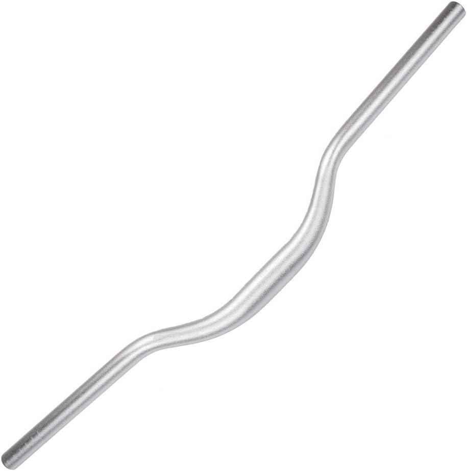 UPANBIKE MTB Kids' Bike Bicycle Short Kids Handlebar 31.8mm*440mm/520mm Riser Bar (Silver, 440mm)