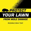 Tomcat Mole Trap, Innovative and Effective Mole Remover Trap Kills Without Drawing Blood, Reusable and Hands-Free, 1 Trap