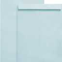 9" x 12.75" Blue Self-Seal Catalog Envelopes, 50