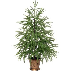 XmasExp 3ft Norfolk Pine Tree Artificial Faux Potted Christmas Tree for Front Porch Indoor Outdoor Decor