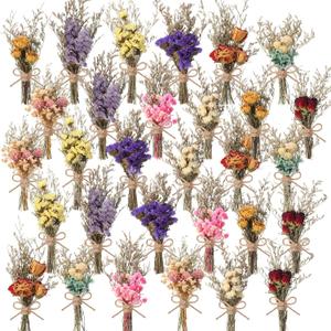 Riceshoot 30 Pcs Dried Flower Bouquets Mini Dried Flowers Bulk with Stem Natural Real Flower Bundles Forget Me Not Boho Floral Arrangement for Crafts Vase Dly Wedding Decor Bridesmaid Gift, 10 Styles