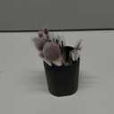 BS-MALL Makeup Brush Set 18 Pcs Premium Synthetic Foundation Powder Concealers Eye Shadows Blush Makeup Brushes with Black Case