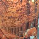 Allenjoy 10 x 8 FT Fall Photography Backdrop Thanksgiving Party Supplies Autumn Pumpkin Friendsgiving Background Decor Photo Booth Props