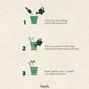 SproutWorld Wood-Cased Pencils | EVERYDAY EARTH | HB Pre-Sharpened Graphite Plantable Wooden Pencils with Flower, Herb & Vegetable Seeds |Gift Ideal for Drawing, Sketching & Shading | 12 Pack