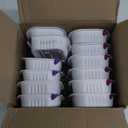 Cesar Wet Dog Food Classic Loaf in Sauce, Breakfast and Dinner with Grilled Steak & Eggs Flavor, and Chicken & Liver Flavor, 3.5 oz. Easy Peel Trays, Variety Pack 24 Count (Pack of 1)