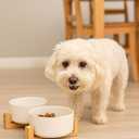Elevated Ceramic Pet Bowls  Double 13.5oz Raised Cat Dog Bowls with Bamboo Stand | Non-Toxic Ceramic Food Water Dishes | Modern Spill-Resistant Feeder for Small Dogs & Cats