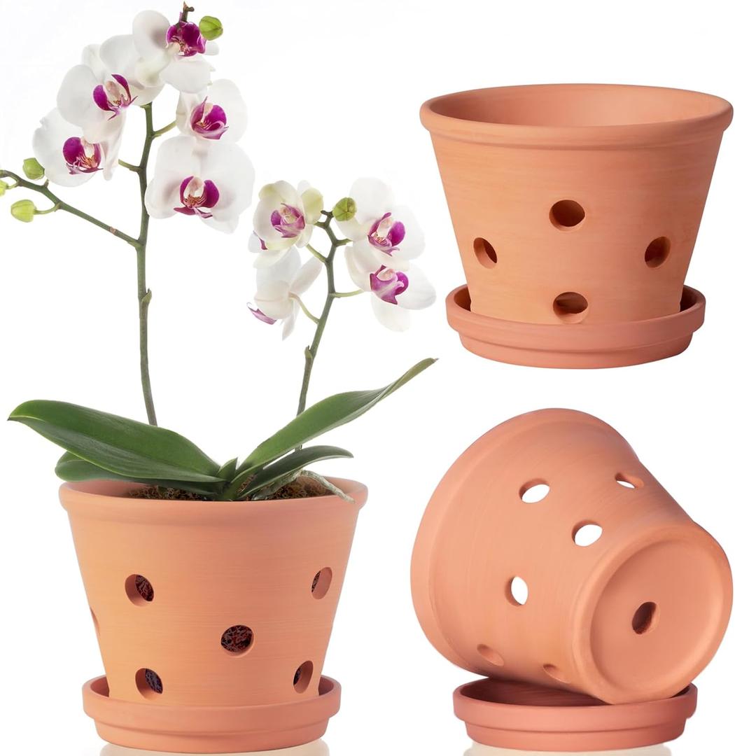 6 Inch Terracotta Orchid Pots with Holes, Saucers - 3 Pack Clay Orchid Planter Pots for Repotting, Small Terra Cotta Pot, Indoor & Outdoor, Promotes Air Circulation