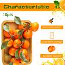 WILLBOND 10 Clusters Artificial Mini Orange Simulation Decorative Tangerine Kitchen Table Fake Orange Realistic Artificial Fruit Bowl Tray Faux Fruit for Home Party Kitchen Festival Decor