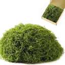 ZZBEARRQI 5.3 oz Fake Green Moss for Potted Plants, Faux Moss for Crafts, Artificial Green Moss for Plants Indoor, Moss Decor for Table Centerpieces, Art Landscape, Gardening, DIY Projects Dark Green