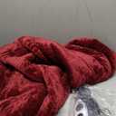 Westinghouse Heated Throw Blanket, Electric Blanket Throw with 6 Heating Levels and 2-10 Hours Time Settings, Flannel to Sherpa Super Cozy Heated Blanket Machine Washable, 50x60 inch, Red