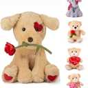 Oukiwi 10 Inch Valentine's Stuffed Animal, Stuffed Animal Dog, Ideal for Valentine's Day Gifts for Family (Style - C)