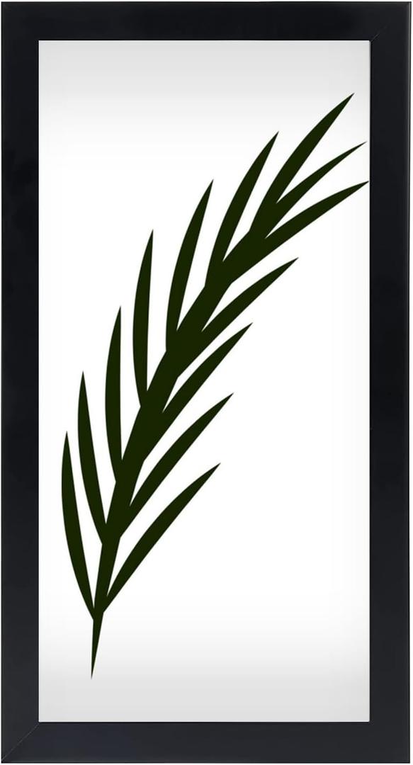 NAOKBOEE 10x24 Picture Frame in Black, Photo Frames with Plexiglass, Horizontal and Vertical Formats for Wall Mounting