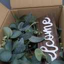 Sggvecsy Green Artificial Eucalyptus Wreath with Welcome Sign 20in Spring Summer Wreath with White Berries for Front Door Wall Window Festival Porch Farmhouse Patio Garden Decor (1 piece)