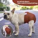 CuteBone Washable Dog Diapers Female No Tail Hole 3 Pack Reusable Doggie Period Training Pants for Docked-Tail Frenchie French Bulldog Boston Terrier Without Tail WWD22L, L