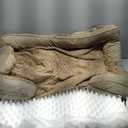 INVENHO Orthopedic Dog Beds Large Sized, XL Washable Dog Sofa with Egg-Crate Foam, Waterproof Lining and Non-Skid Bottom (XL (42"x 32"x 6.5"), Brown)