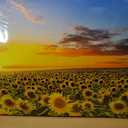 sechars Sunflower Canvas Wall Art Sunrise in Field Landscape Picture Painting Print Modern Living Room Decor,Framed Ready to Hang, 36"L x 24"W
