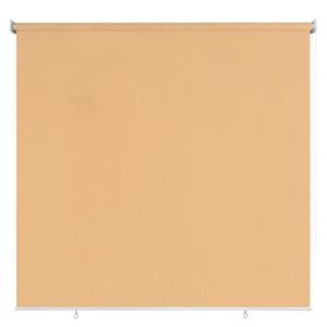 CICADA SPEECH Outdoor Roller Shade Roll Up Shade Cloth Patio Blinds for Deck Porch Balcony Backyard (7.5' W X 6' L), Wheat