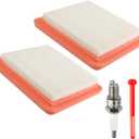 GCV160 Air Filter Fuel Filter for Honda GCV160 GCV170 GCV190 GCV200 GC160 GC190 Engine 17211-Z8B-901 Air Filter 16952-Z8B-000 Fuel Filter Tune up Kit for Honda HRX217 HRN216 Lawn Mower Parts