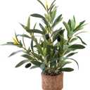 Indoor Fake Olive Plant - 12 inch Faux Silk Olive Plant with Realistic Trunk and Lifelike Fruits in Black Rustic Planter - Perfect for Home and Office Decor