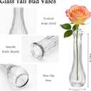 Glass Bud Vases for Centerpieces, 6 Pack Clear Small Flower Vases for Wedding Decorations and Indoor Home Decor, Hurricane Candle Holder for Table Shelf, Party