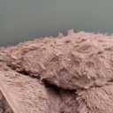 Litanika 4x6 Shag Area Rug for Living Room Bedroom, Pea Pink High Pile Ultra Soft Plush Shaggy Furry Bedside Playroom Dorm Carpet, Non-Slip, Non-Shedding Modern Indoor Floor Rug (Solid Bean Pink)