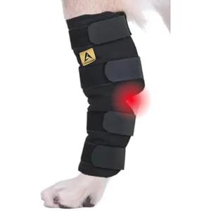 AGON® Dog Leg Braces for Back Leg wrap hock Compression Protects Wounds and Helps heal hind Legs Rear Ankle Joint, preventing Injuries, sprains Providing Stability for Dogs, Canines Arthritis (M-)