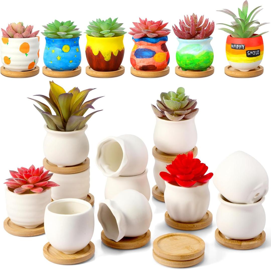 Remerry 12 Pcs 2.5 Inch Mini Succulent Pots with Bamboo Tray White ...