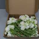 Meldel 32Pcs Ranunculus Artificial Flowers, Ivory White Fake Peonies, Real Touch Silk Faux Mini Ranunculus Filler Flowers Bulk for DIY Wedding Bouquet, Vase Centerpieces, Bridal Shower Decor
