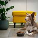 Clear Pet Bowl Mat, USA Made, Safe, Waterproof, 14 x 21 Inch, 2mm Thick Smooth Vinyl, Cat & Dog Cage Floor Mat
