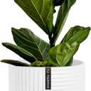 Fox & Fern Large 12 Inch Planter with Drainage Plug Premium Polystone White Plant Pot; Modern Planter with 3D Texture and Ceramic Finish; 12 Inch Pots for Plants Indoor & Outdoor