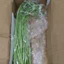 10PCS Fake Grass Filler Decor Artificial Grass Plants Outdoor Faux Plants Artificial Tall Shrubs Wheat Grass Greenery Stems UV Resistant Onion Grss For Outdoor Indoor Vase Planters Home Decor, Green