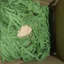 XmasExp Norfolk Pine Wreath 15INCH Real Touch Artificial Evergreen Realistic Faux Plain Christmas Wreath for Front Door,Mantles,Windows